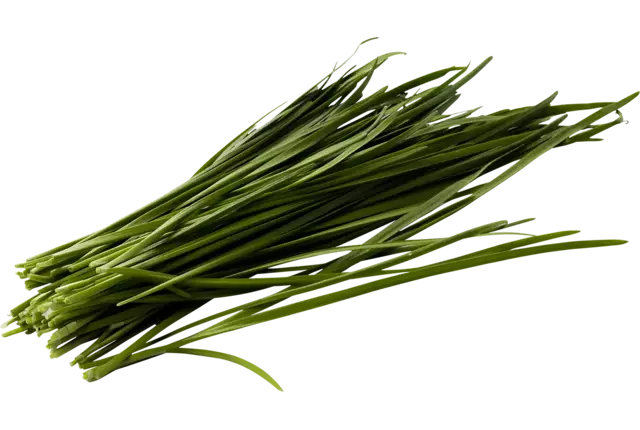 Knoflook bieslook 75-80gr stuk