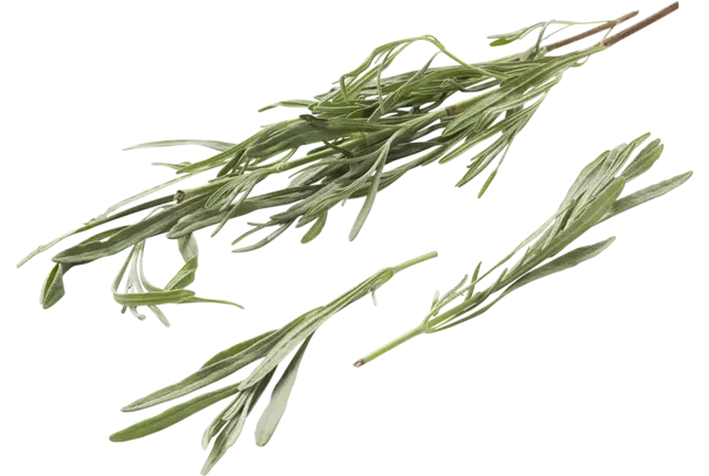 Lavender leaf bundle crade 15 pieces