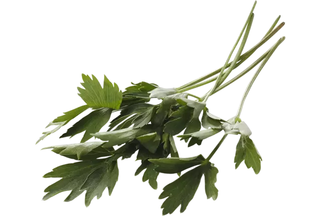 Lovage bundle 75-80gr crade 15 pieces