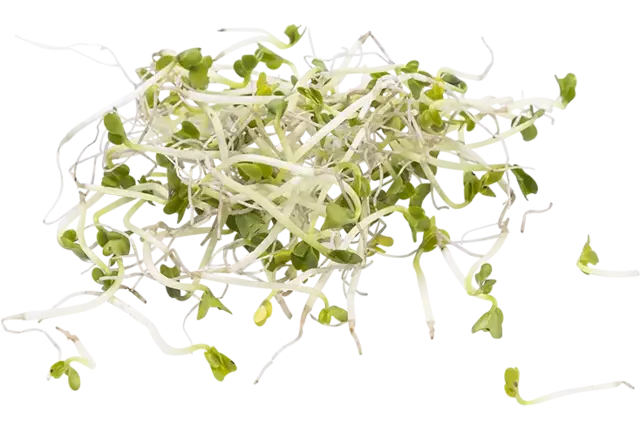 Broccolischeut 50gr