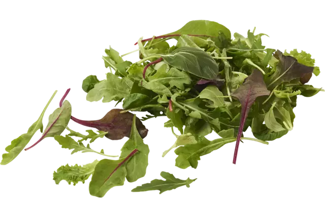 Luxe Slamix 500gr stuk