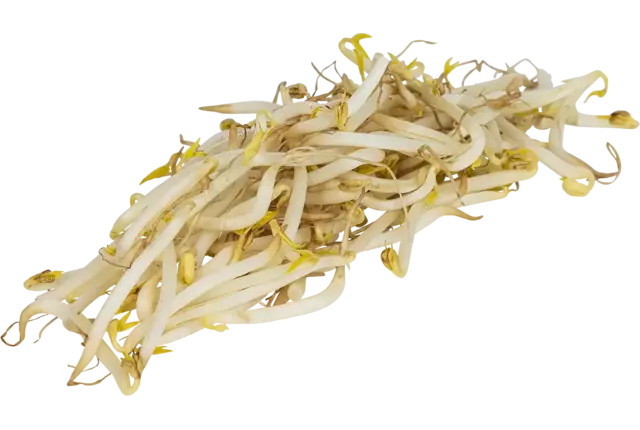 Tauge verpakt 1kg kist 10 stuks