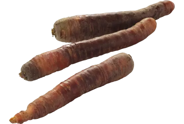 Winterpeen paars verpakt 1kg