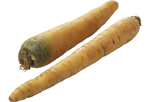 Winterpeen geel verpakt 1kg