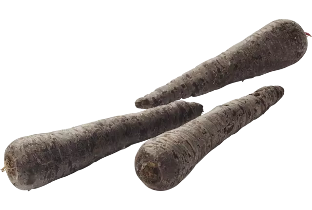 Winterpeen zwart kist 5 kilogram