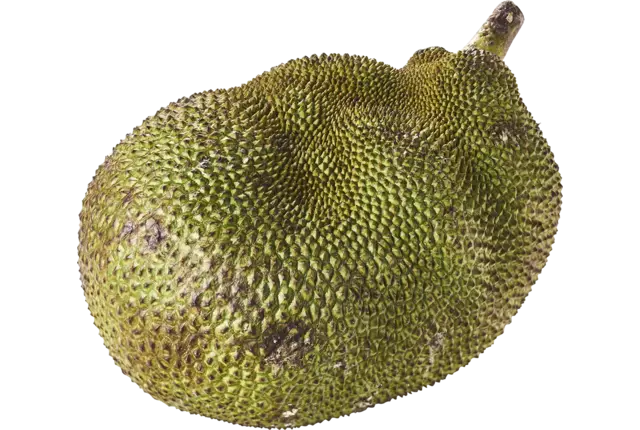 Jack fruit-Nanka fruit