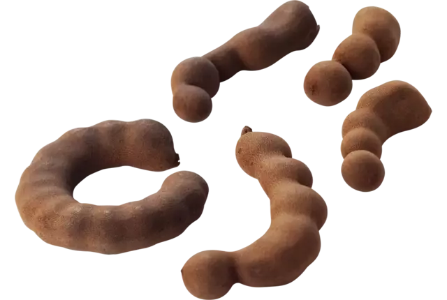 Tamarind 450g size 6 crade 6 kilo