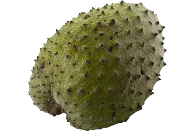 Guanabana crade 5 kilo