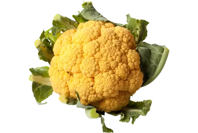 Cabbage orange piece