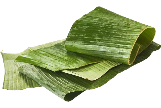 Feuille de bananes longues caisse 2kg