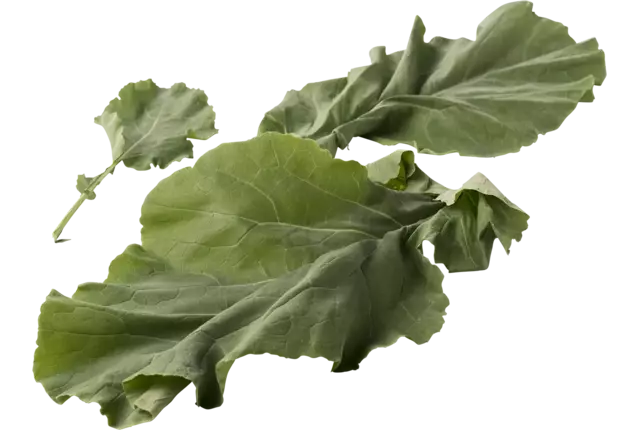 Leaf cabbage 250gr piece