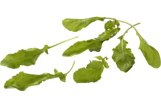Wild arugula 100gr piece