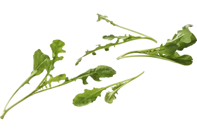 Mini rucola sauvage 50g pièce