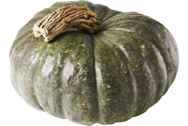 Pompoen Blue Kuri 2 tot 4 kilo kist 1 stuk
