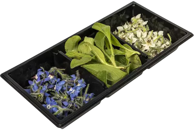 Borage flower trio 60pc piece