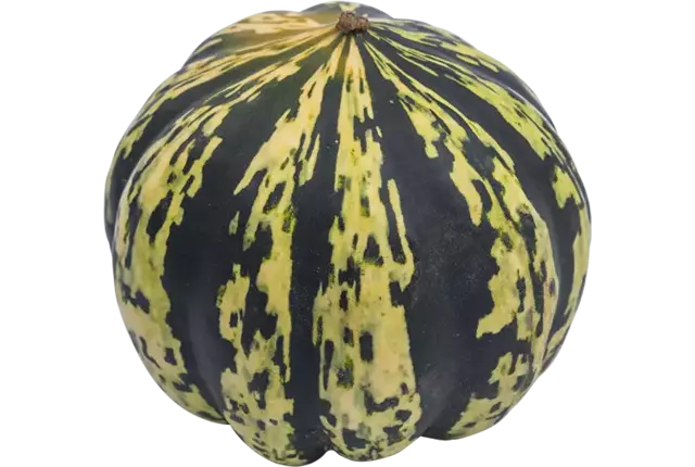 Ananas pompoen kist 1 stuk