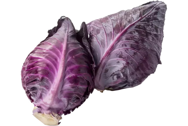 Chou pointu violet pièce