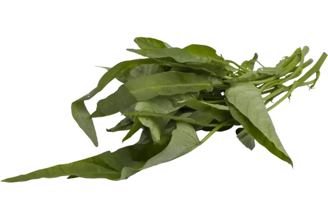 Waterspinazie 250gr