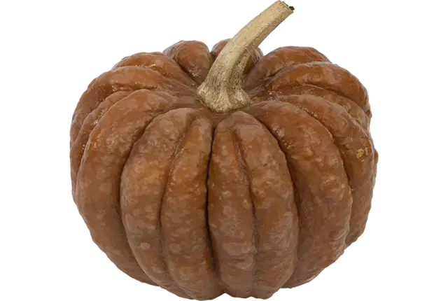 Notenpompoen (1,5 tot 3 kilo) per kist 1 stuk