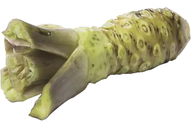 Wasabi 125gr-150gr stuk