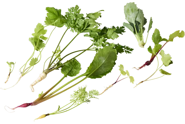 Micro vegetable mix piece