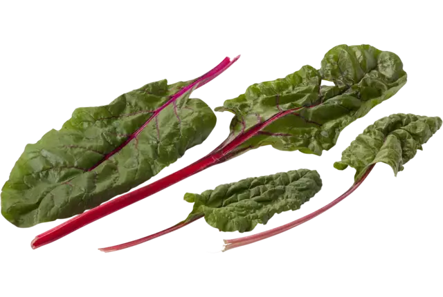 Snijbiet rood verpakt 250gr
