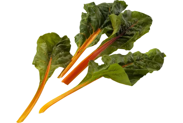Snijbiet oranje verpakt 250gr
