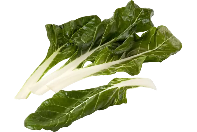 Snijbiet wit verpakt 250gr kist 4 stuks