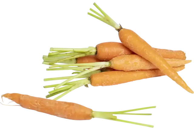 Mini bospeen 1kg