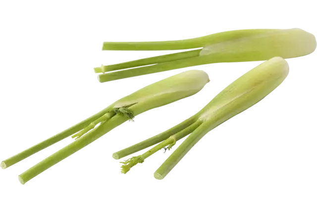 Mini venkel 200gr kist 12 stuks