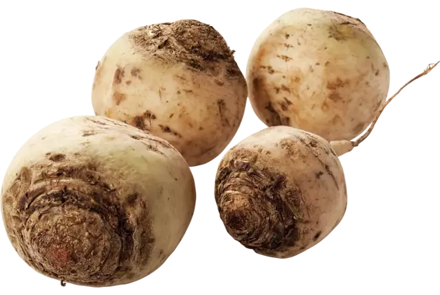White beets crade 5 kilo