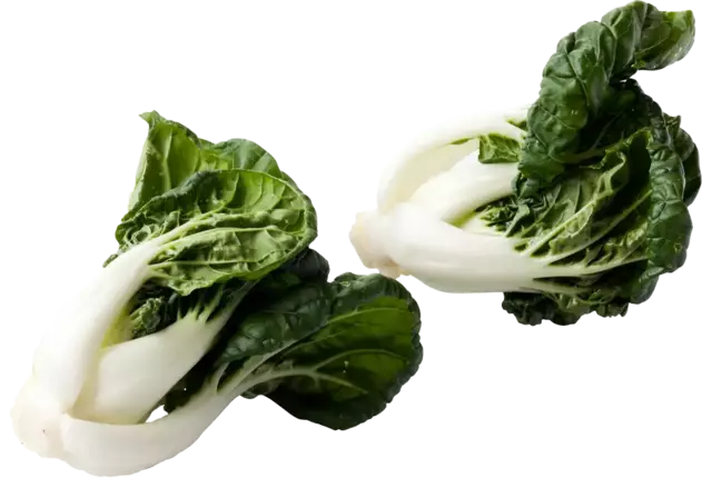 Mini paksoi (bokchoi)