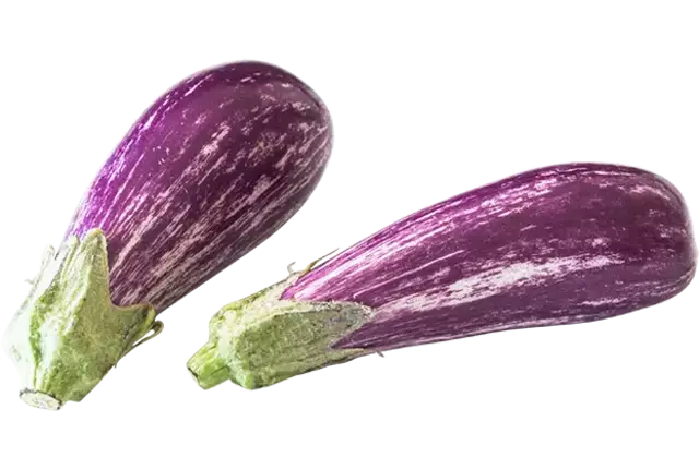 Mini graffiti aubergine 200gr