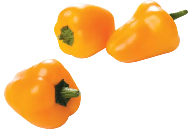 Mini poivron jaune 1kg pièce
