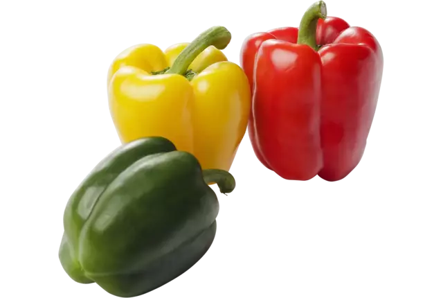 Paprika stoplicht verpakt 3st stuk