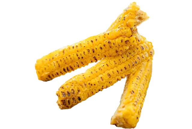 Corn rib roasted 500gr