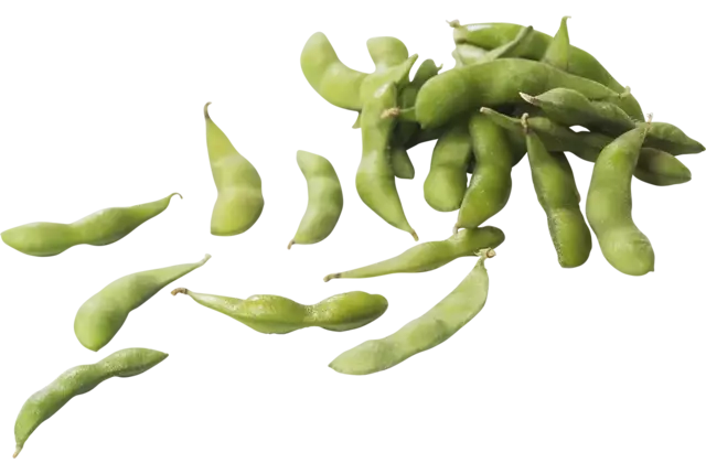 Edamame bonen ongepeld (diepvries) 500gr kist 10 stuks