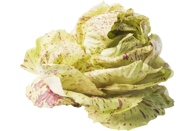Castelfranco kist 2 kilogram