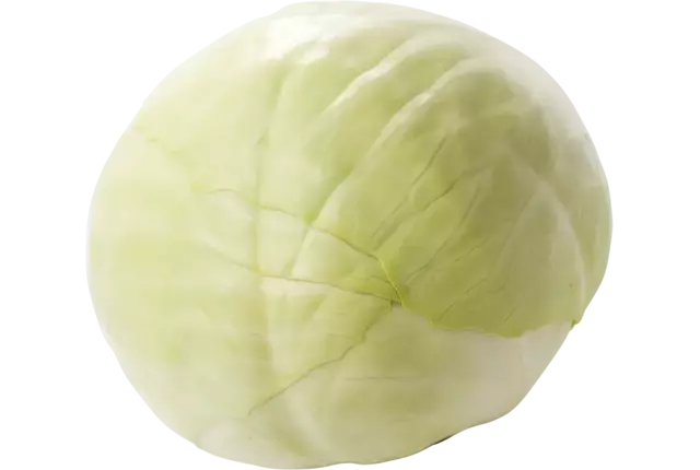 Witte kool +-- 1kg stuk