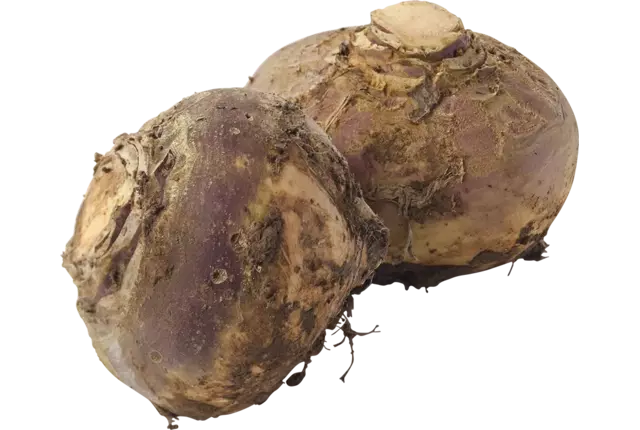 Koolraap +-- 1kg