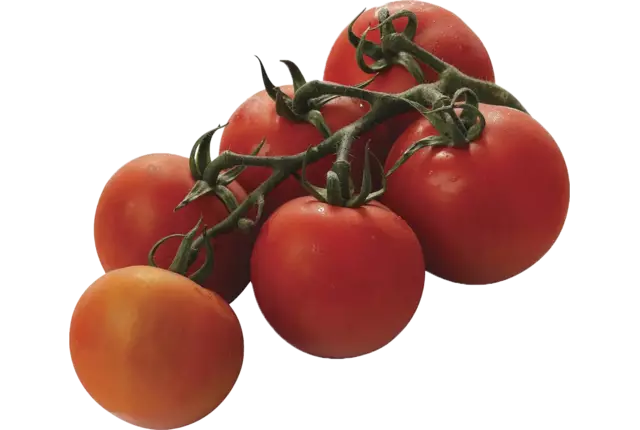 Tomatoes de vigne 750g pièce