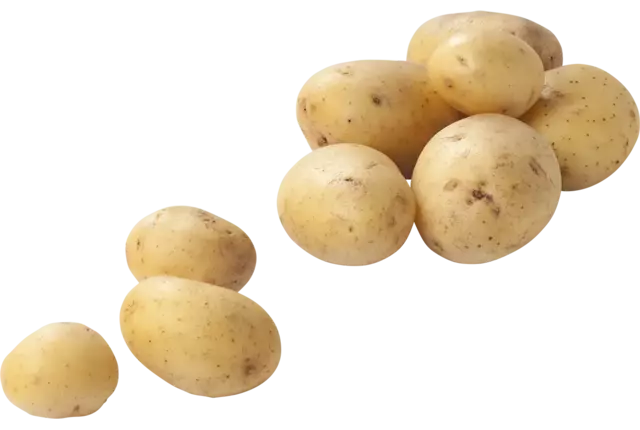 Charlotte aardappelen 1kg stuk