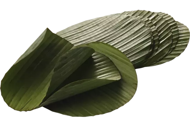 Bananenblad rond 20cm 500gr stuk