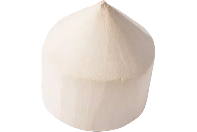 Drinking coconut piece