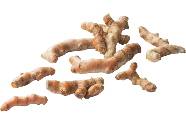 BIO kurkuma (turmeric) kist 2 kilogram