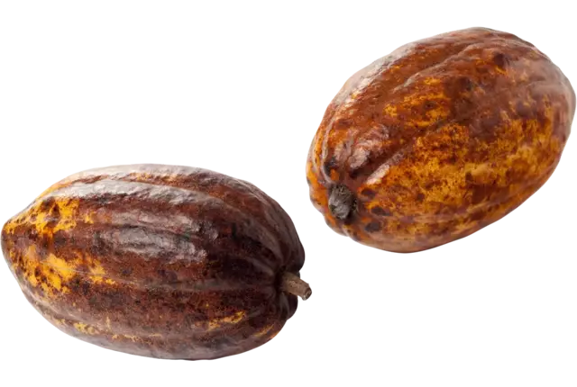 Cacao fruit kist 3 kilogram