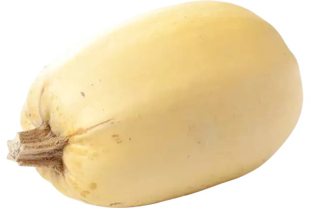 Pompoen spaghetti kist 1 stuk