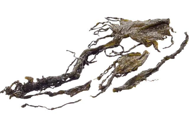 Wakame 250g caisse 10pc