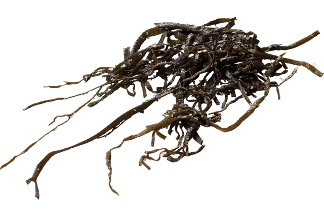 Algues 250g pièce