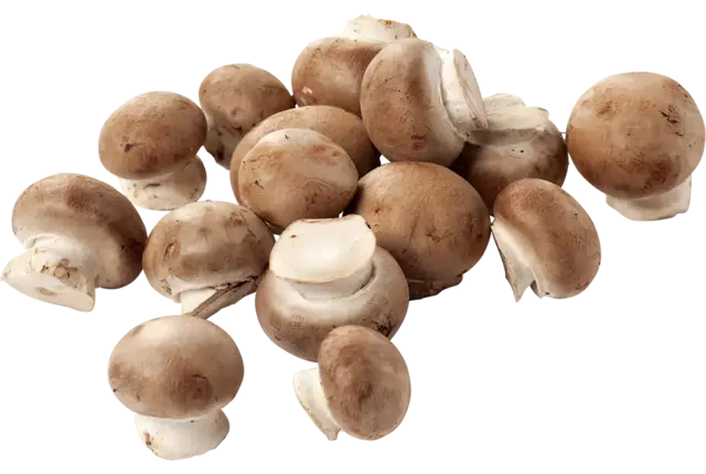 Mini kastanje champignons los kist 4 kilogram